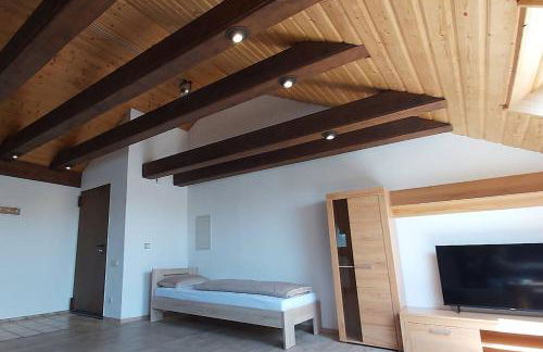 Penthouse Apartment near Nürnberg - Foto 58