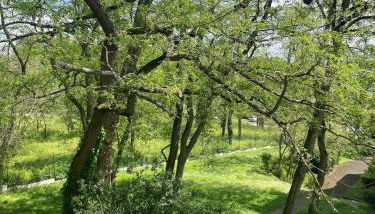 Apartment Zénith Charm of Barry Gardens- private parking - Foto 3, Garden