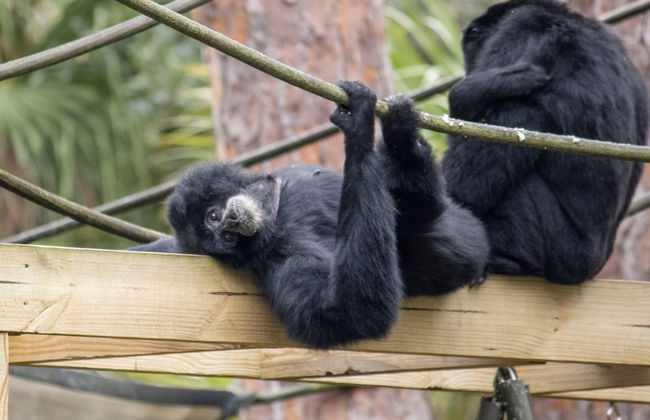 Marker 99 Resort - Foto 53