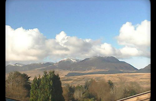 Shifty Chicken Shack - Foto 19