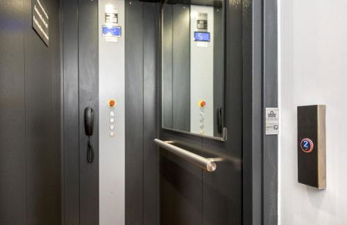 Cormorant - Photo 28