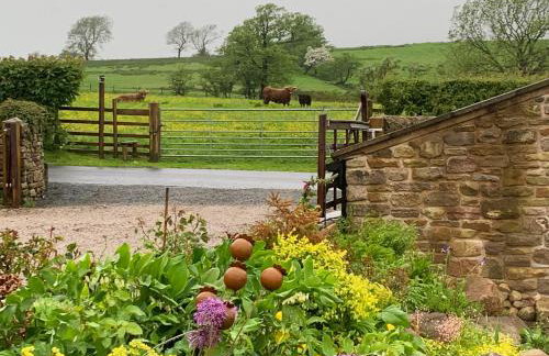 Cuthbert Hill Farm - Foto 41