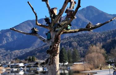 Caldonazzo Domus Lake - Photo 22