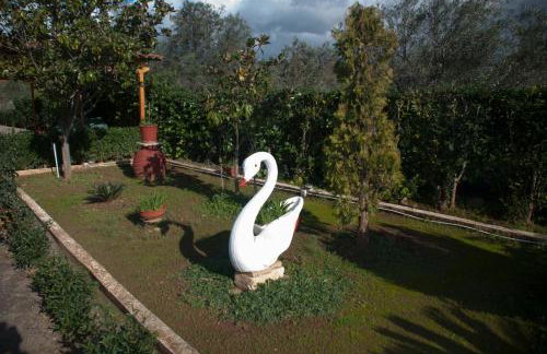 Four Seasons - Foto 68