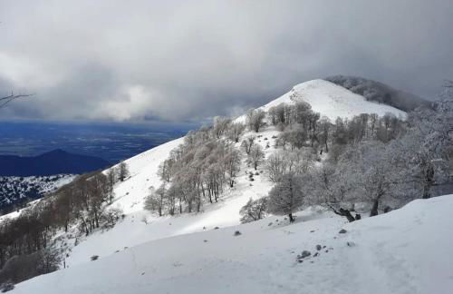 Casetta in Collina - Foto 30