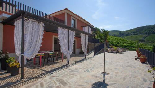 Quinta da Pitarrela - Foto 4