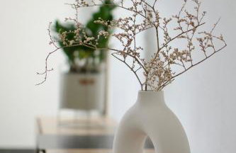 Apartmani Rajković - Foto 12