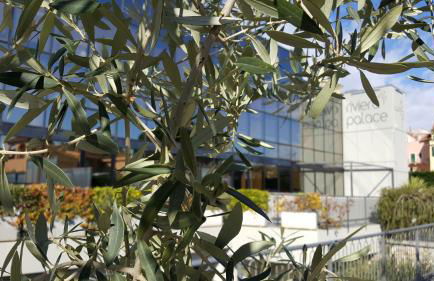 Riviera Palace Residence - Foto 1