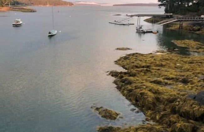 Left Bank - New! Blue Hill Bay! - Foto 6