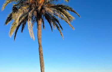 RocaSol Denia - Marina Real II - Foto 36