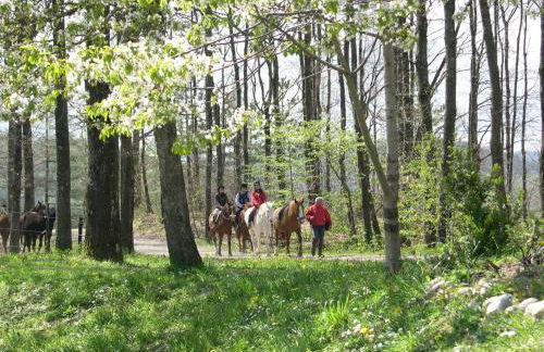 Fattoria Cà Di Gianni - Foto 30
