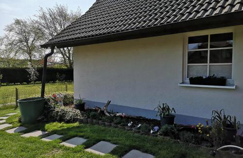 Boddenhus auf Rügen - Ferienwohnungen und Pension - Foto 39