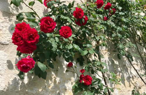 gîte de charme avec piscine - Foto 16