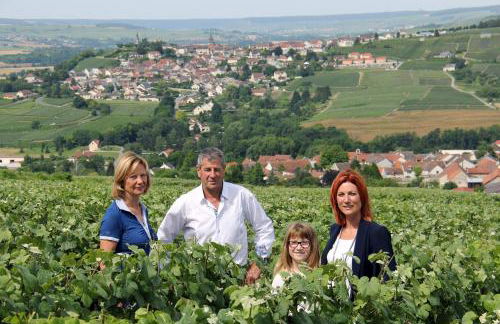 La Grange d' Angel - Foto 14