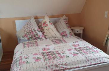 Urlaub an der Müritz - Foto 10