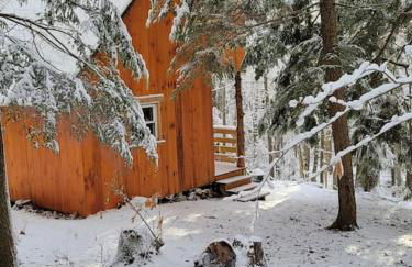 Vana Kuti-cabin in the woods - Foto 23