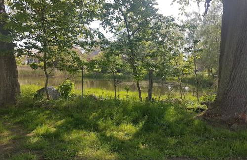 Ferienhaus am Rande des Müritz-Nationalparks - Foto 15