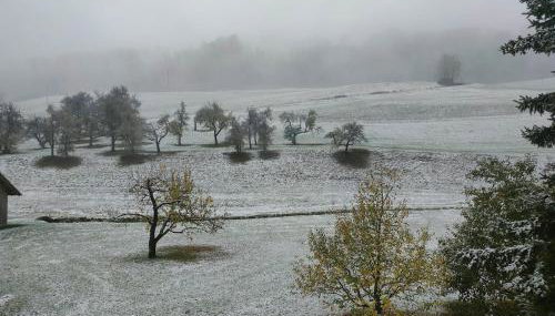 Ferienwohnung Alber - Foto 4