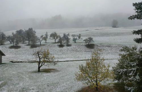 Ferienwohnung Alber - Foto 4