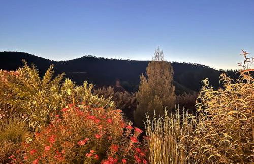 Magnifique Mas Cevenol - Foto 20