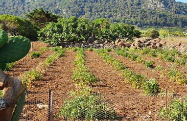 La casa sotto le stelle - Ustica - Foto 19