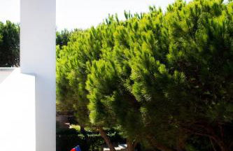 Coreto's Village - Foto 61