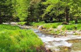 Isola 2000 appartement au pied des pistes wi-fi - Photo 29