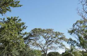 Haras Santa Amalia - Nova União MG - Foto 30