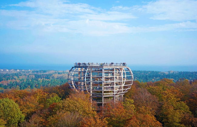 Landhaus Wildrose Comfortable Holiday Residence - Foto 39