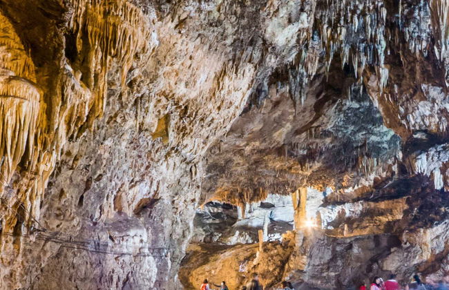 Escursione al Parque Ecoturístico Rancho Nuevo e a El Arcotete - Foto 6