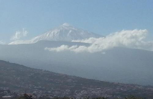 Studio 1 Hab - Foto 21