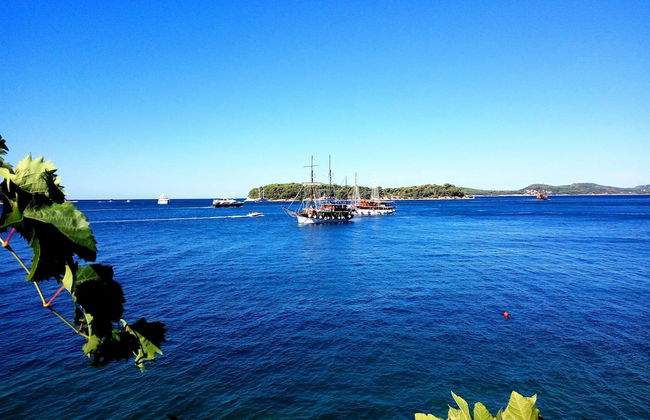 Sea of Eden - Foto 34