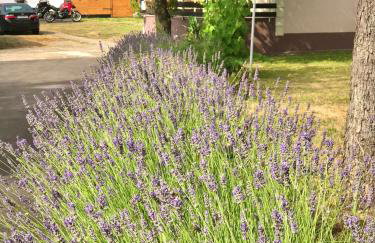 Apartment Gabriela - Foto 38