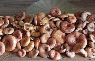 Domek pod Dębami Bogaczewo - Foto 18