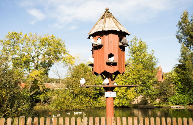 OYO Elm Farm Country House, Norwich Airport - Photo 47