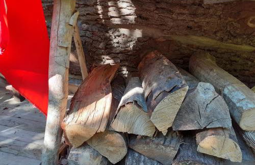 La Cabane des Trappeurs - Foto 42