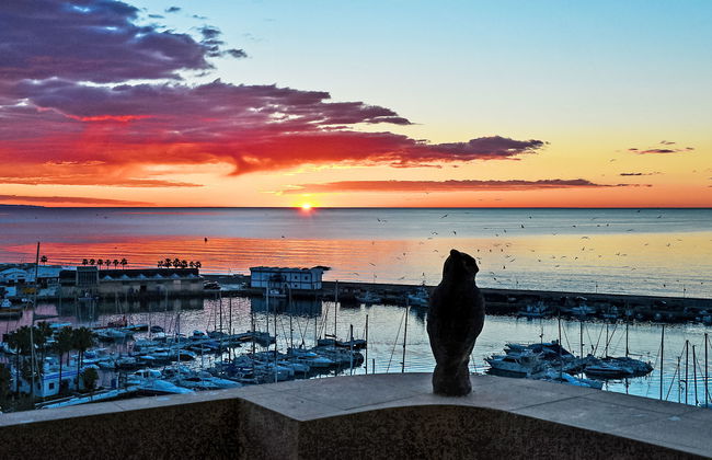 Puerto Paraíso - Foto 28