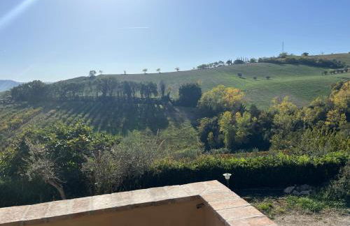 Vineyard Farmhouse in Massignano - Foto 47