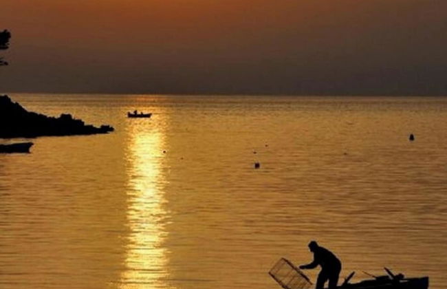 Apartment Danijela Mljet - Studio Apartment With Balcony and Sea View - Foto 18