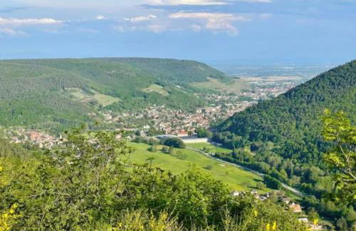 Cigogne et Bretzel - Foto 17