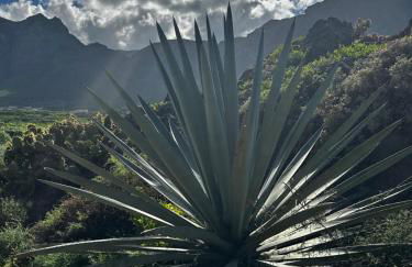 Terraza con vistas mar/montaña - Foto 12