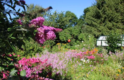 Ferienwohnungen am Obersee - Foto 13