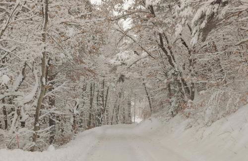 Location MarjoRI - T3 Le Kakariki - Foto 21