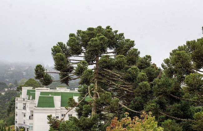 Apartamento Morro do Elefante - Photo 53