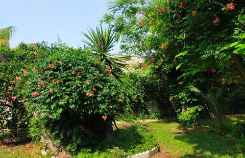 Precioso chalet próximo a Sevilla con jardín y piscina privada 8 personas Wifi gratis 2 salones 4 dormitorios 2 baños - Foto 32