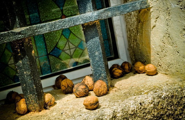 Pazo de Verdes - Foto 18