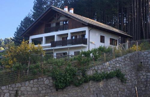 Tra il bosco e il lago - Foto 1