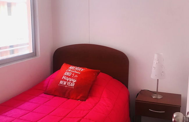 Cosmopolita - Foto 12