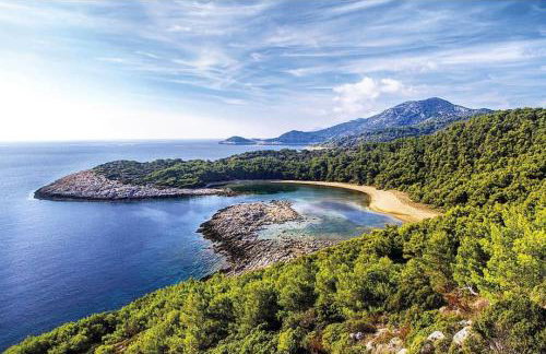 Apartments Franić - Photo 17