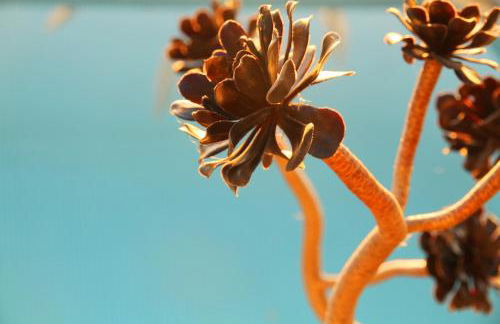 Casa Rural El Refugio - Foto 8